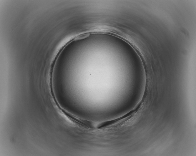 X0000111021480200906261530
