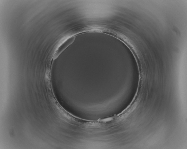 X0000111021481200906261530