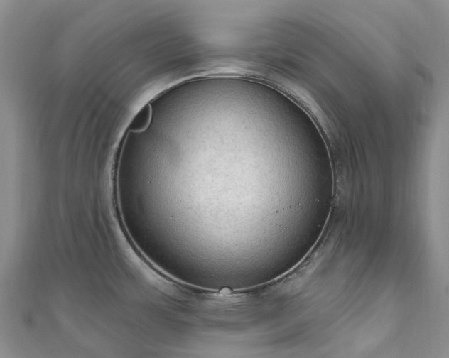 X0000111021483200906261530
