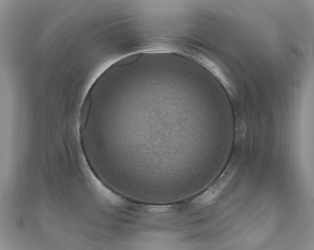 X0000111021484200906261530