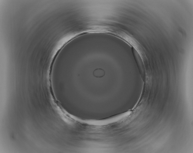 X0000111021485200906261530