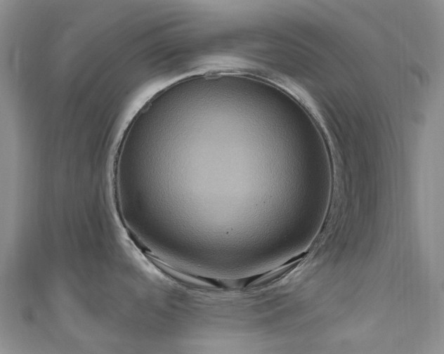 X0000111021488200906261530
