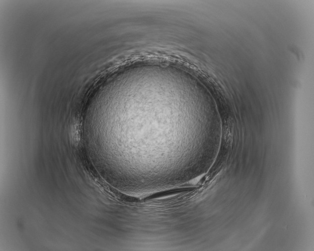 X0000111021490200906261529