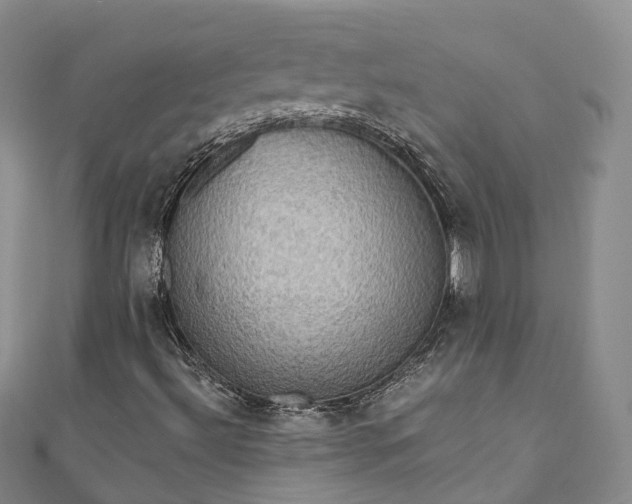 X0000111021492200906261529