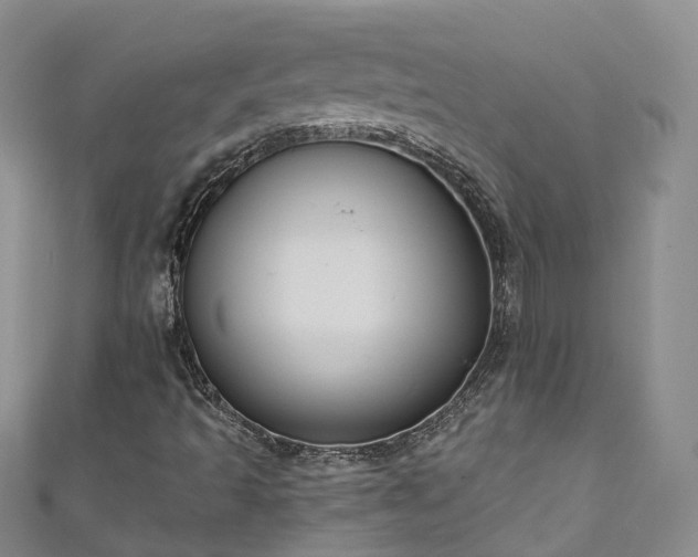 X0000111021493200906261529