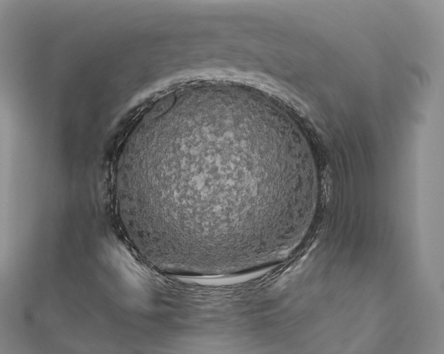 X0000111021494200906261529