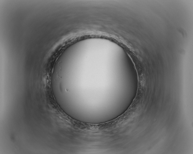 X0000111021495200906261529