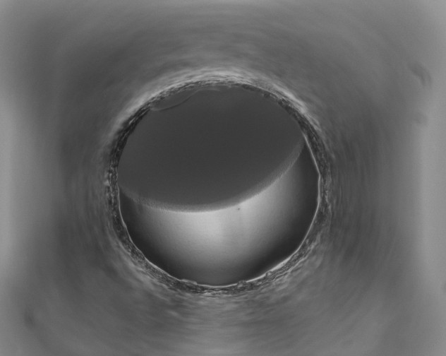 X0000111021496200906261529
