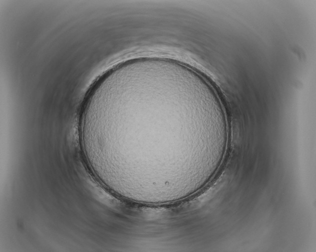 X0000111021498200906261530