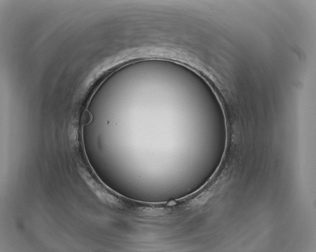 X0000111021499200906261530