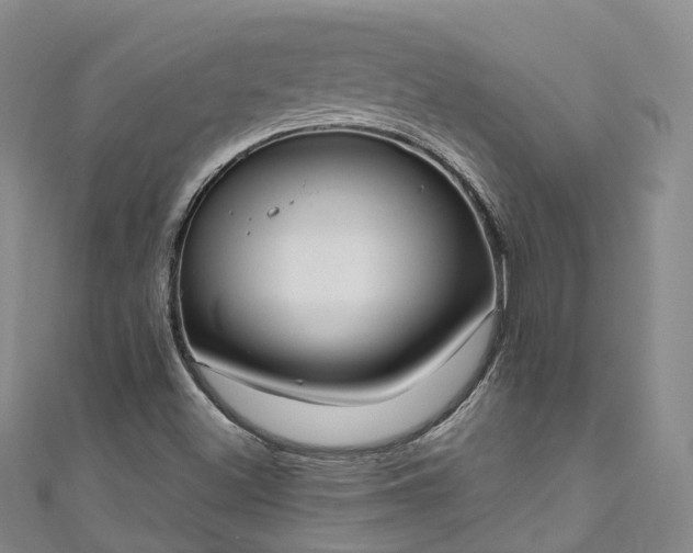 X0000111021500200906261530