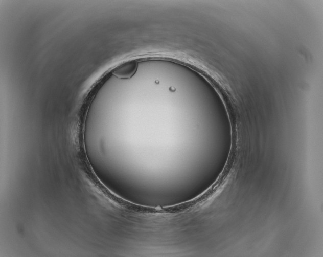 X0000111021502200906261530