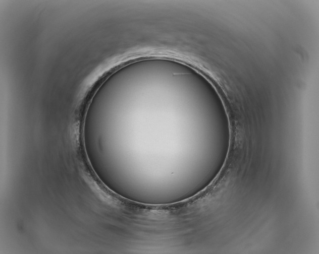 X0000111021503200906261530