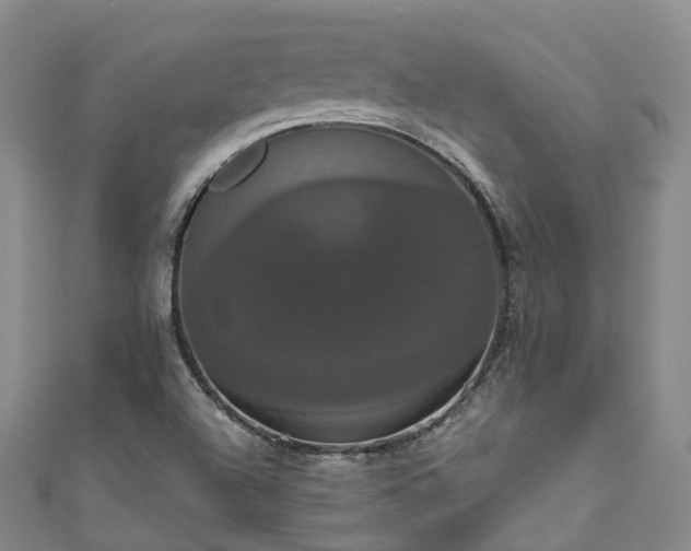 X0000111021504200906261530