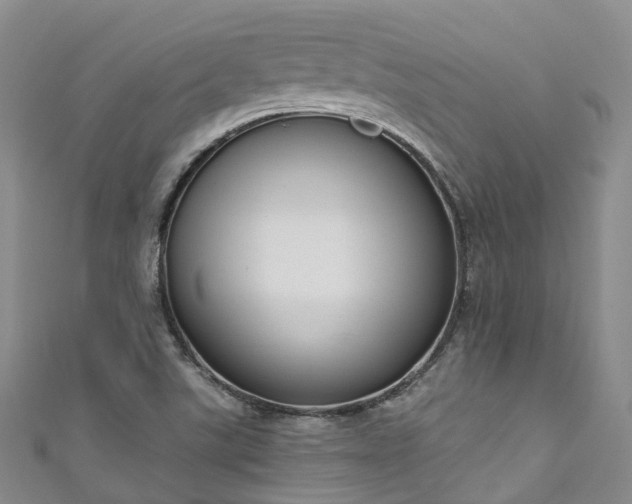 X0000111021507200906261530