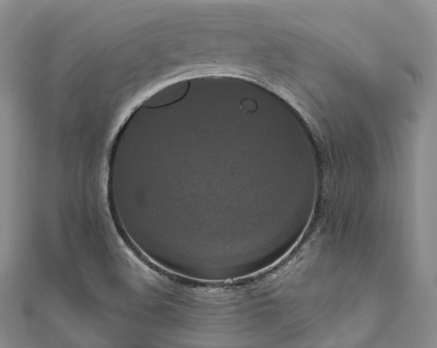 X0000111021508200906261530