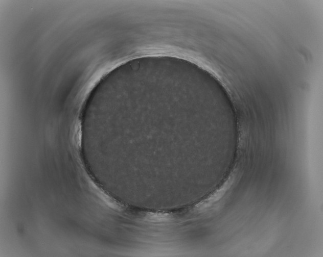 X0000111021509200906261530