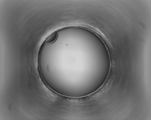 X0000111021512200906261530