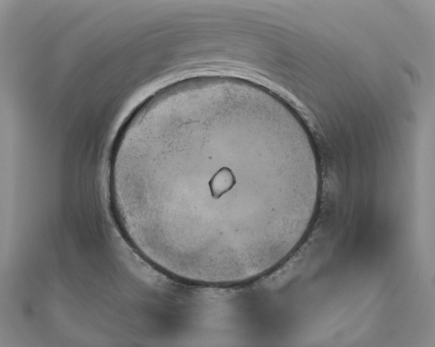 X0000111021514200906261530