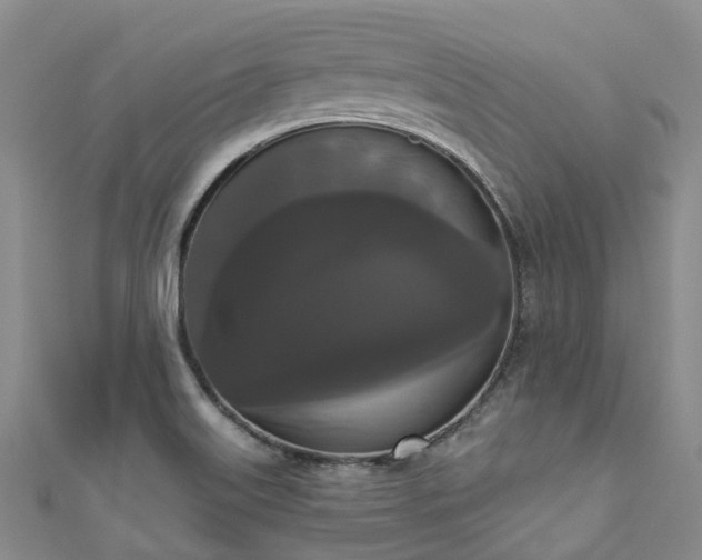 X0000111021515200906261530