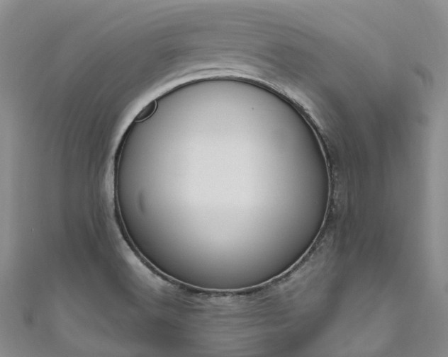 X0000111021516200906261530