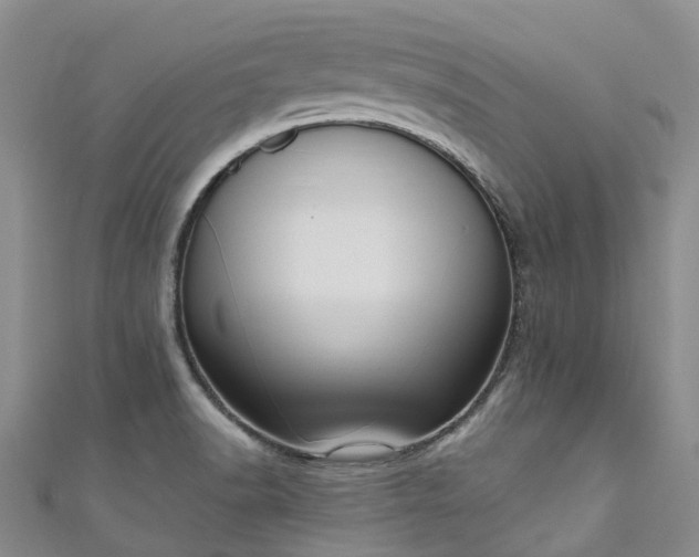 X0000111021518200906261530