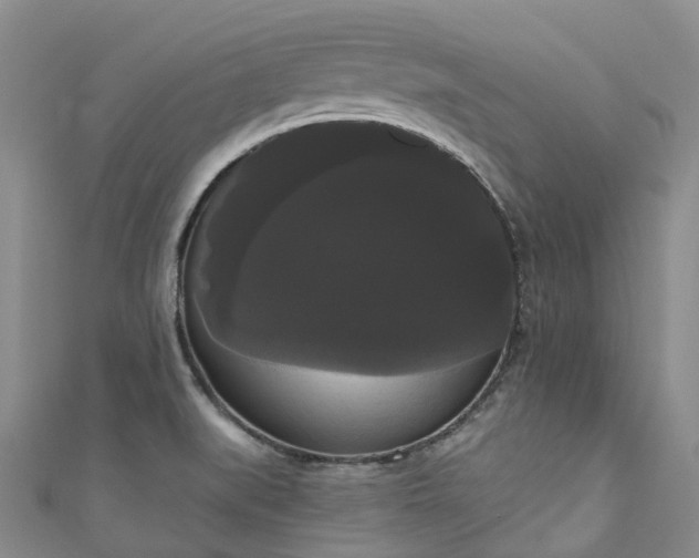 X0000111021519200906261530