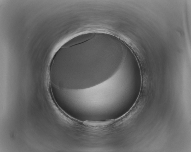 X0000111021520200906261530