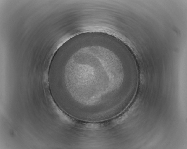 X0000111021521200906261530
