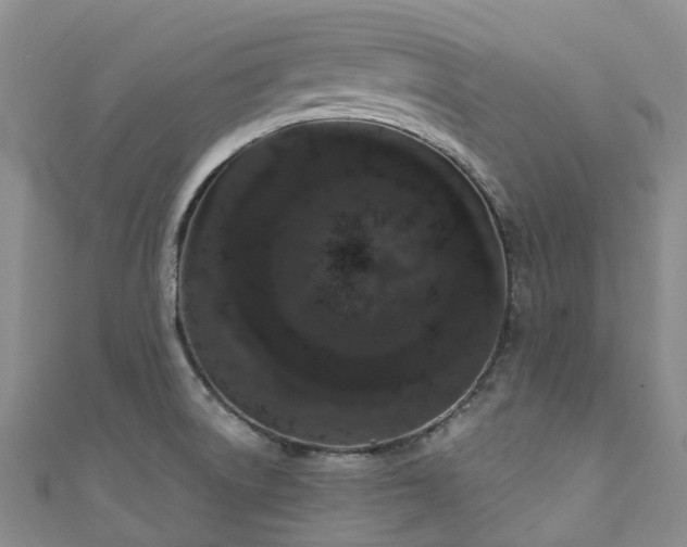 X0000111021522200906261530