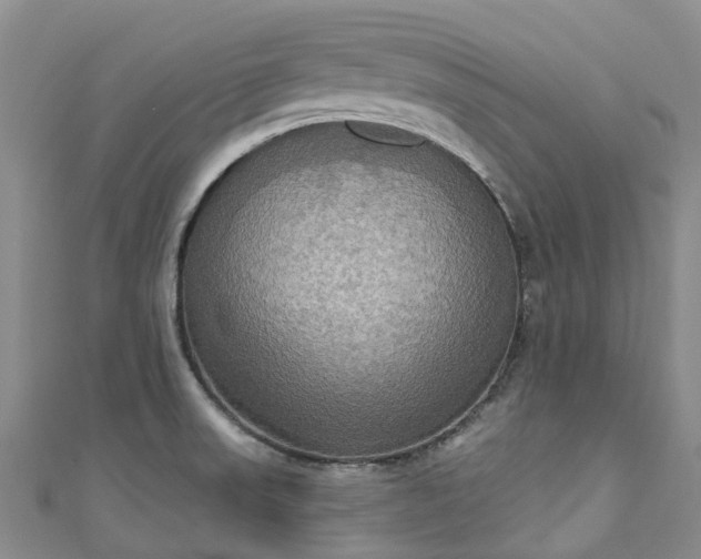 X0000111021523200906261530