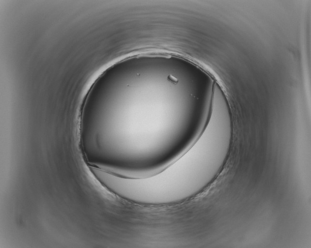 X0000111021524200906261530