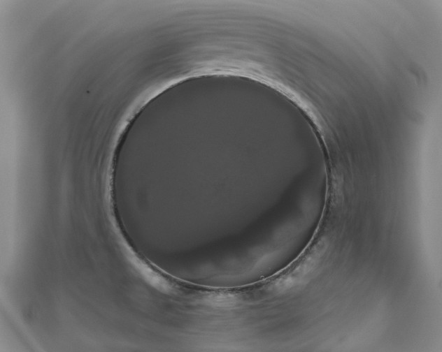 X0000111021525200906261530