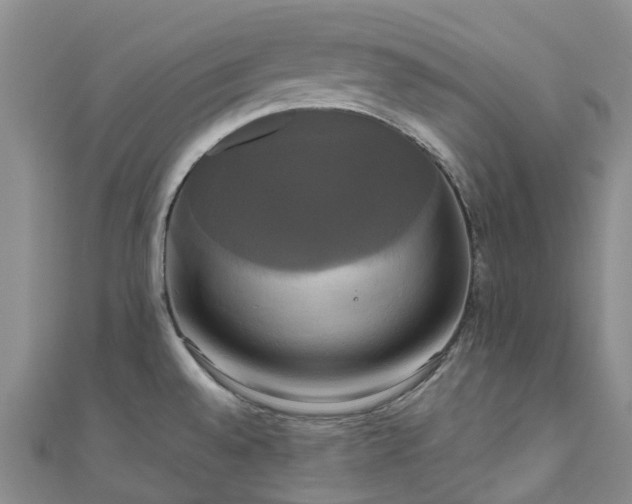 X0000111021528200906261530