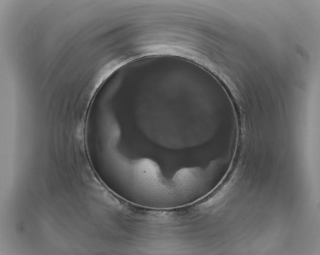 X0000111021529200906261530