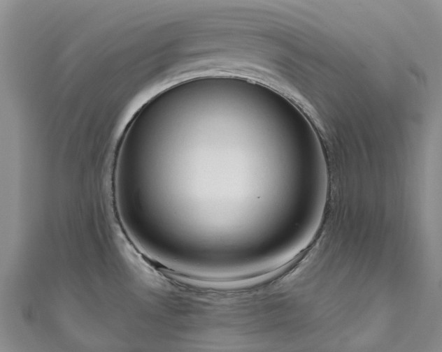 X0000111021530200906261530