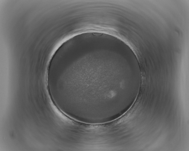 X0000111021531200906261530