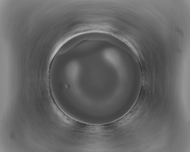 X0000111021532200906261530