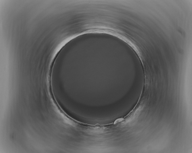 X0000111021533200906261530