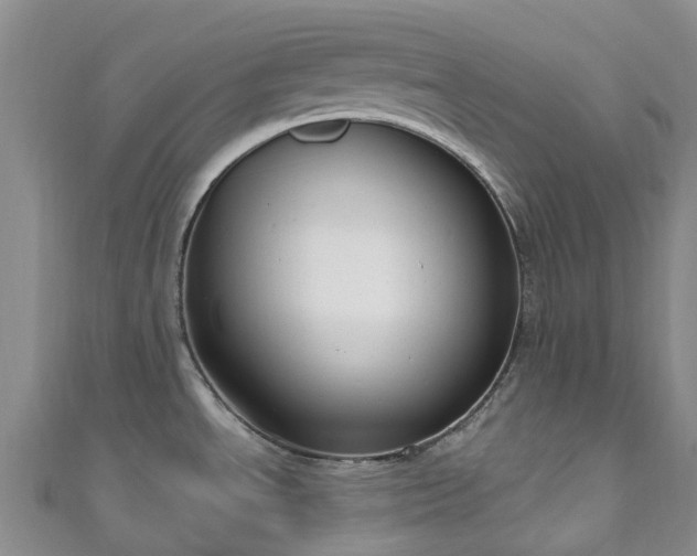X0000111021534200906261530