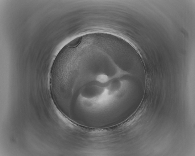 X0000111021535200906261530