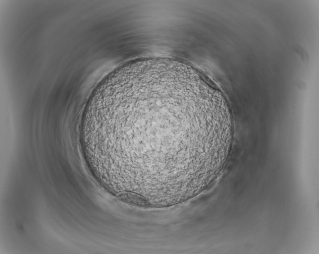 X0000111020001200907022208