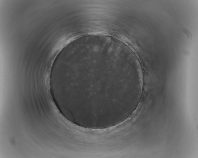 X0000111020002200907022208
