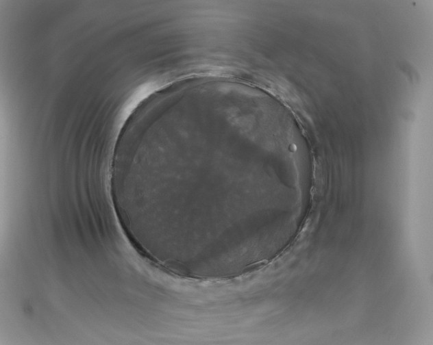 X0000111020003200907022208