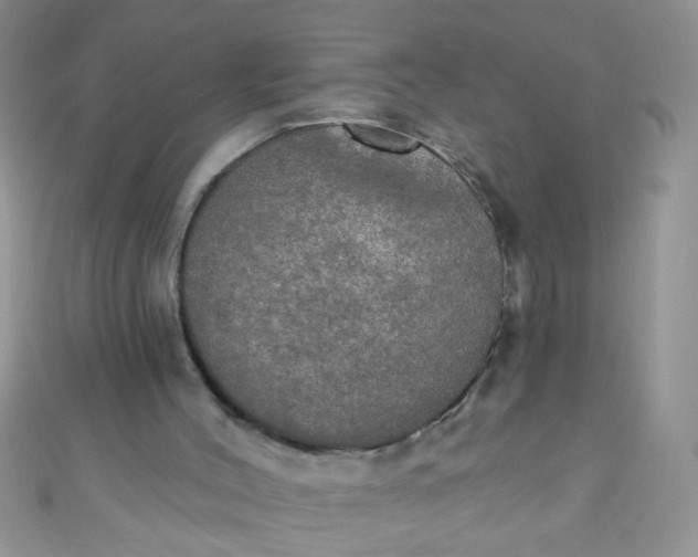 X0000111020004200907022208