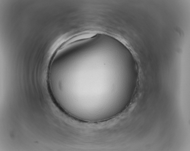 X0000111020007200907022208