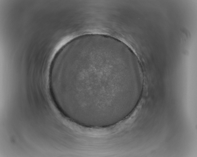 X0000111020008200907022208