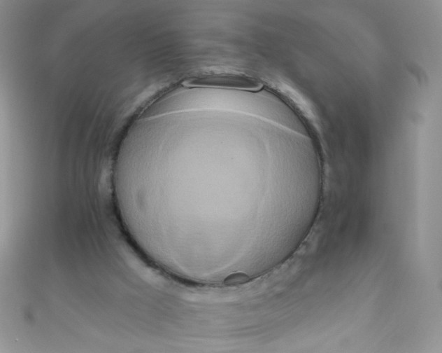 X0000111020009200907022208