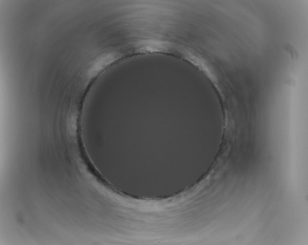 X0000111020010200907022208