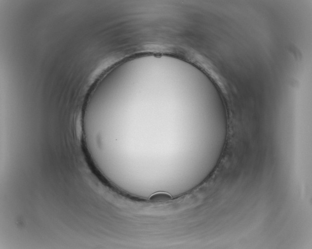 X0000111020011200907022208